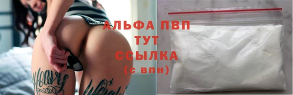 ГАЛЛЮЦИНОГЕННЫЕ ГРИБЫ Абаза