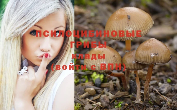 шишки Абдулино