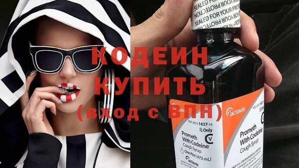 ГАЛЛЮЦИНОГЕННЫЕ ГРИБЫ Абаза
