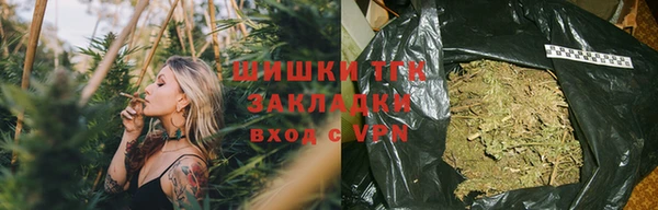 ГАЛЛЮЦИНОГЕННЫЕ ГРИБЫ Абаза